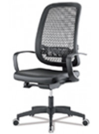 EQUITY EXECUTIVE EQUITY EXECUTIVE